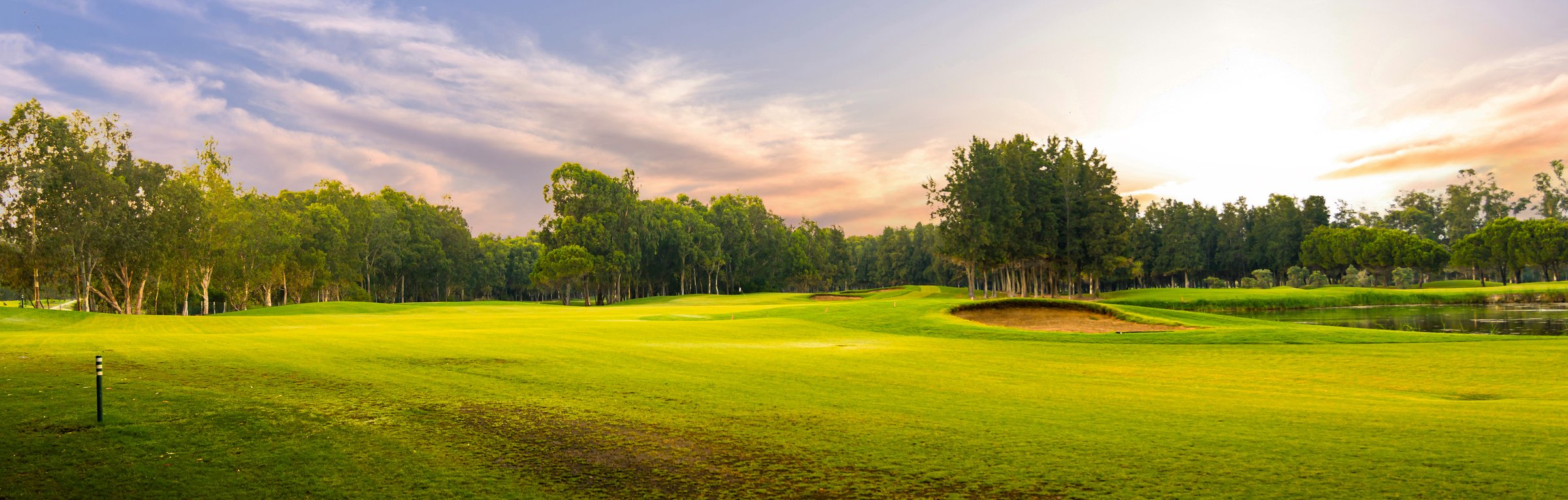 A scenic golf course with lush green fairways and trees, bathed in the soft light of sunrise, creating a peaceful and inviting atmosphere for golfers