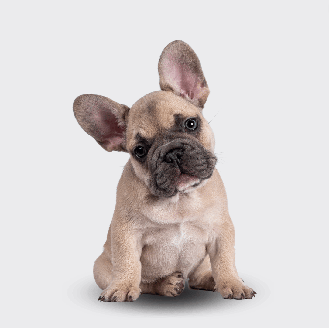 Asesoramiento para Nuevos Jefes