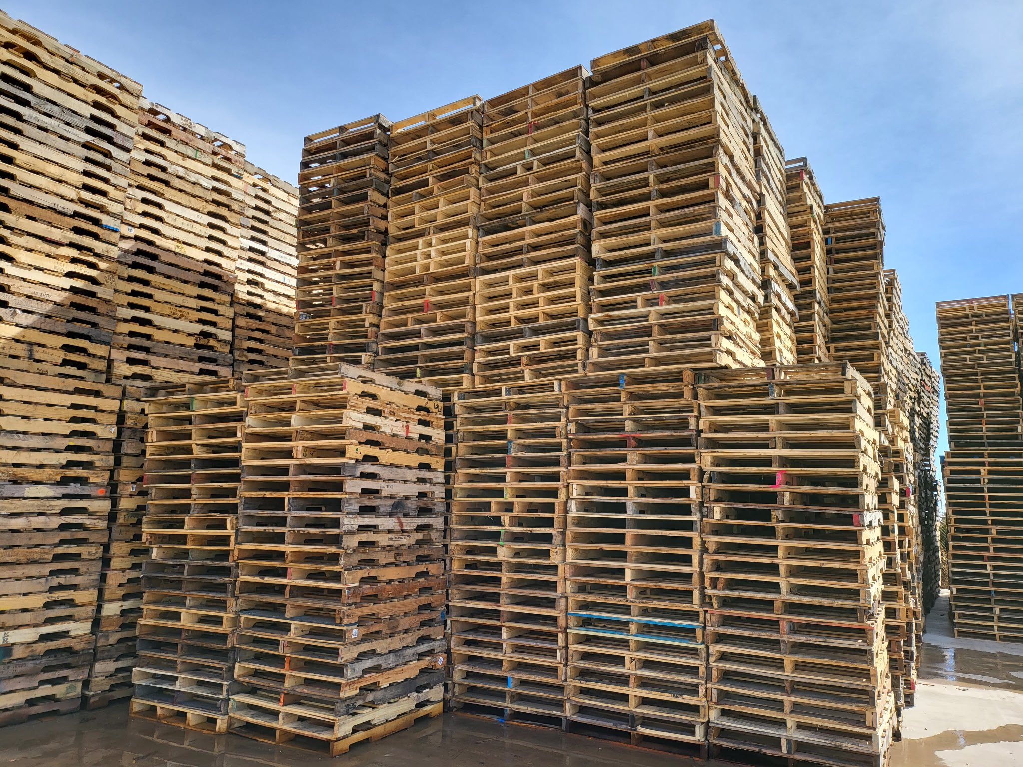 Pro Pallets warehouse and facility