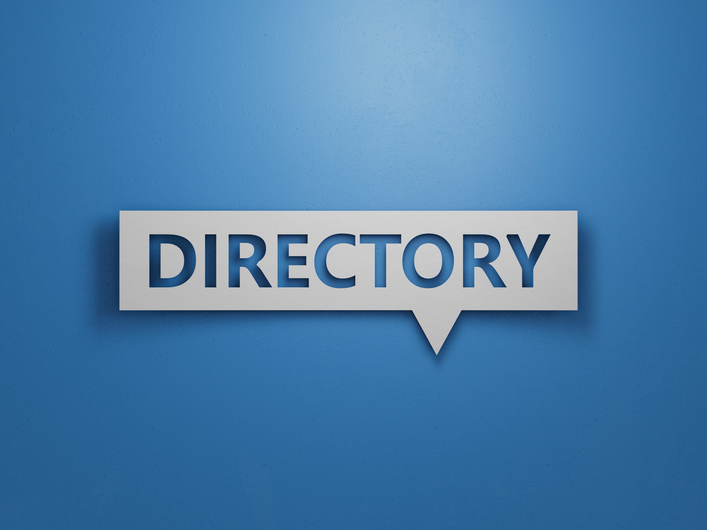 Speech Bubble with text DIRECTORY. financial market. financing.Minimalist Abstract Design With White Cut Out Paper.3D rendering on blue background.