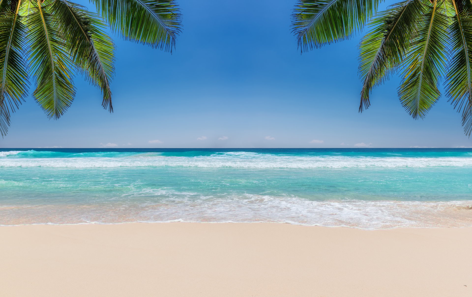 Tropical beach with white sand, tropical sea and palms background. Summer vacation and tropical beach concept.