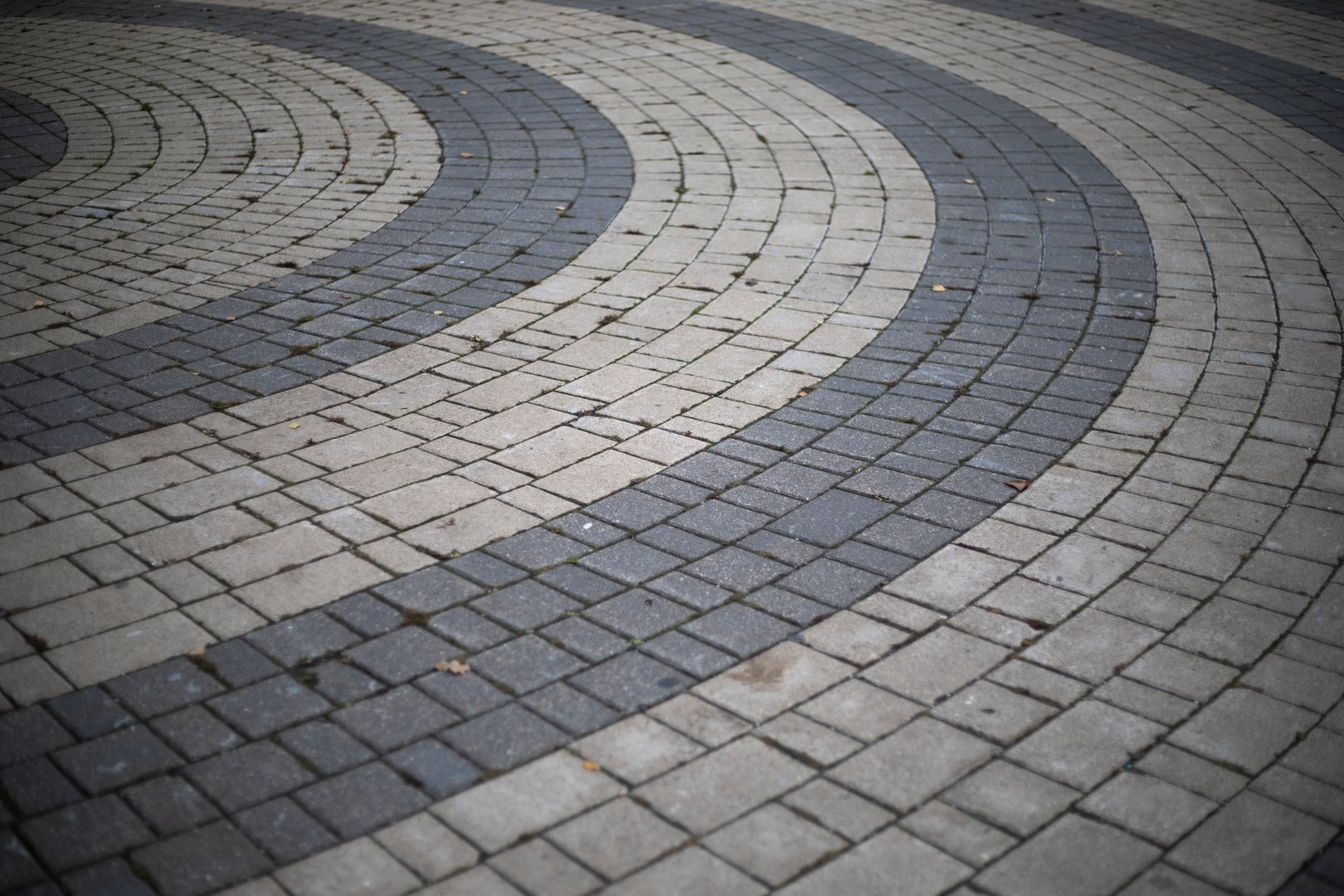 Tiles on the square. The paving stones lie in a circle. Area details. Beautiful tiles.