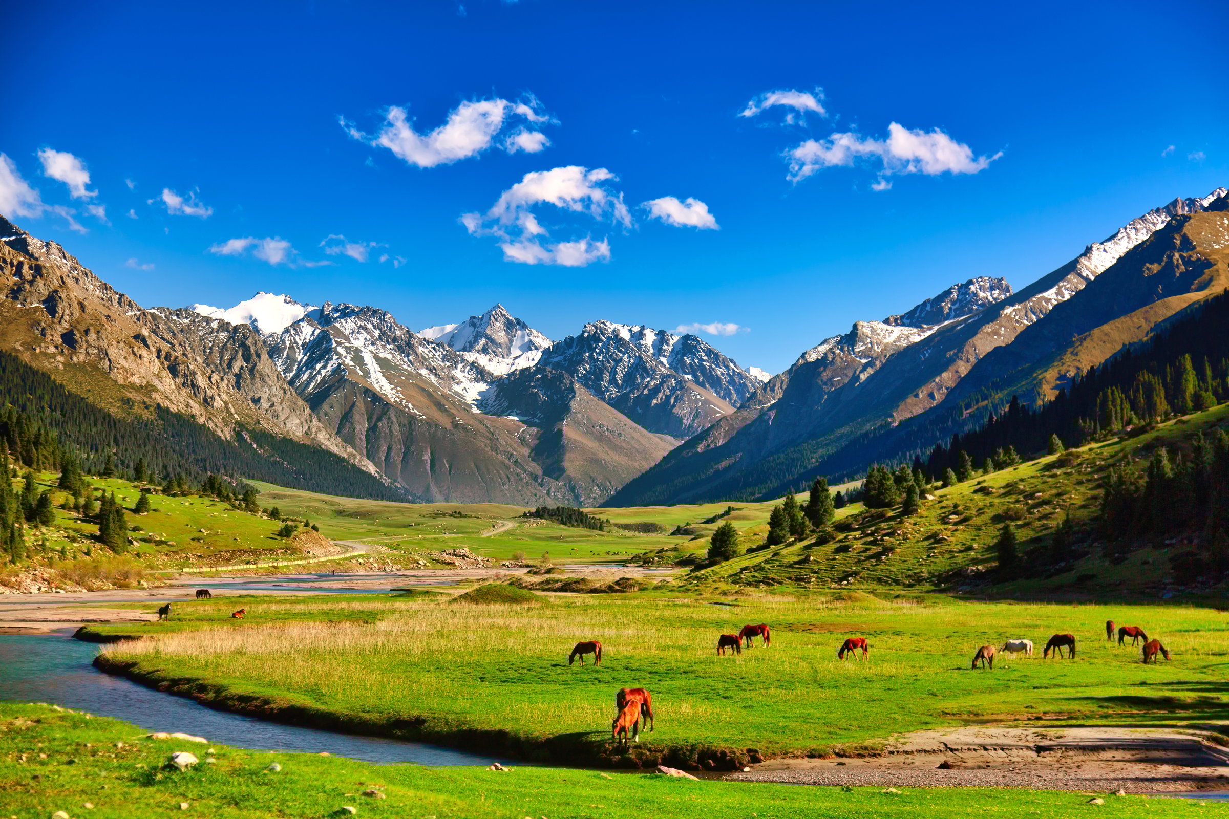 Kyrgyzstan nature landscape. Beautiful green alpine meadows with horses and river against Tien-Shan mountains in Kyrgyzstan