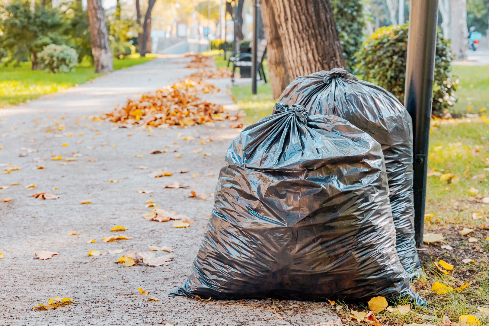 Garden rubbish removal Manchester - Leaves and autumn waste collection service