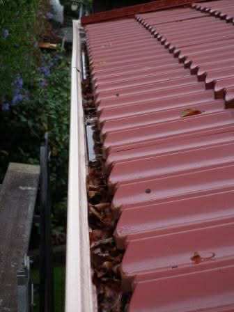 Blue Mountain Gutter Mesh Installation