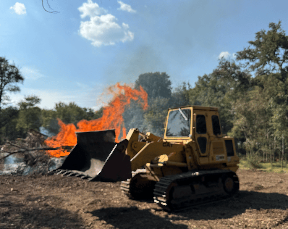 Land clearing project