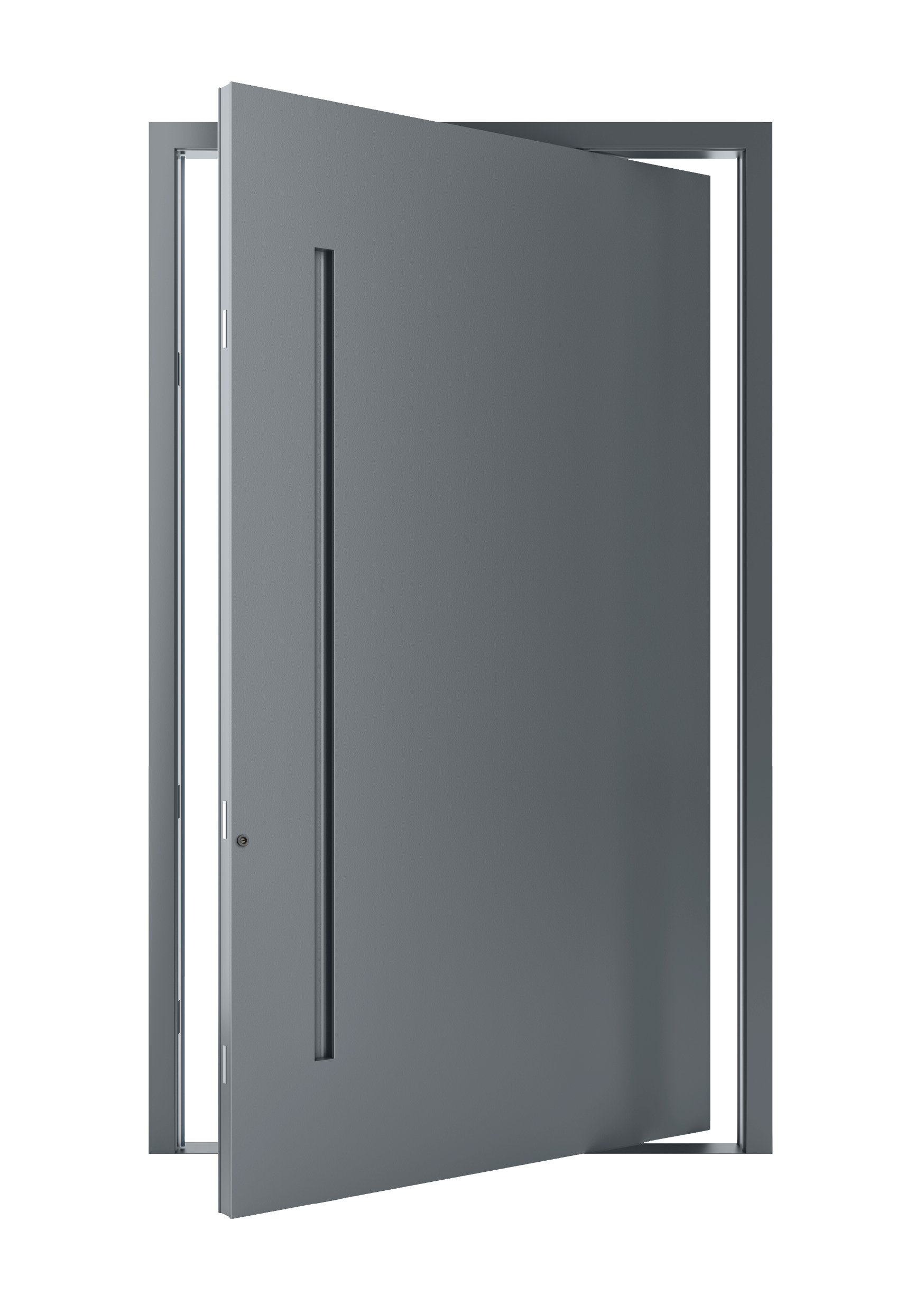 Modern Pivot Deur Design