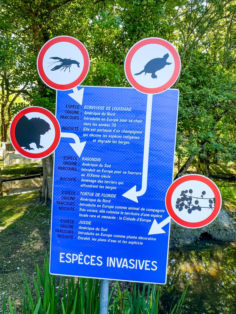 Dolus-d'Oléron, France - May 10, 2024 : panel detailing different invasive species of animals in French in Le Marais aux oiseaux bird park