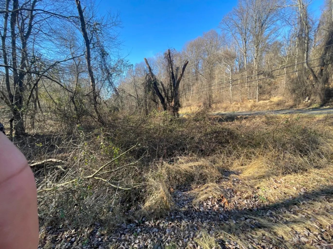 Angels Lawn Service project