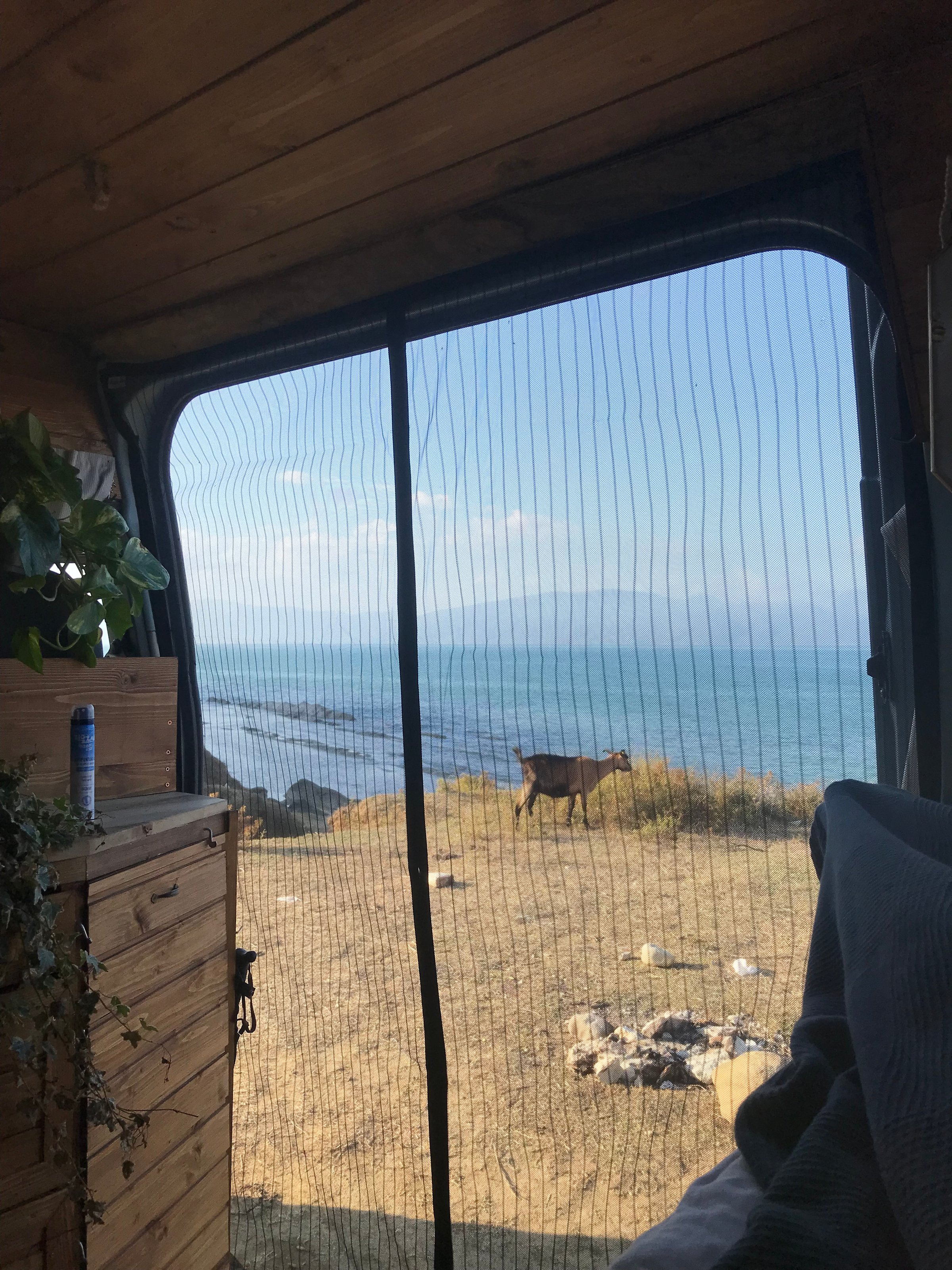 Ford Transit Van Detail 4