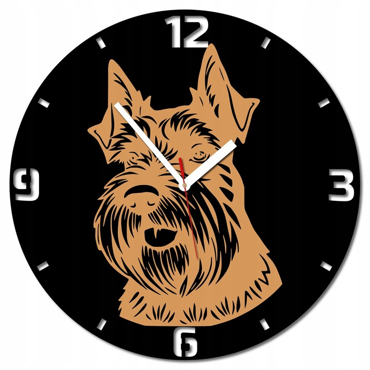 Zegar sznaucer pies rasowy