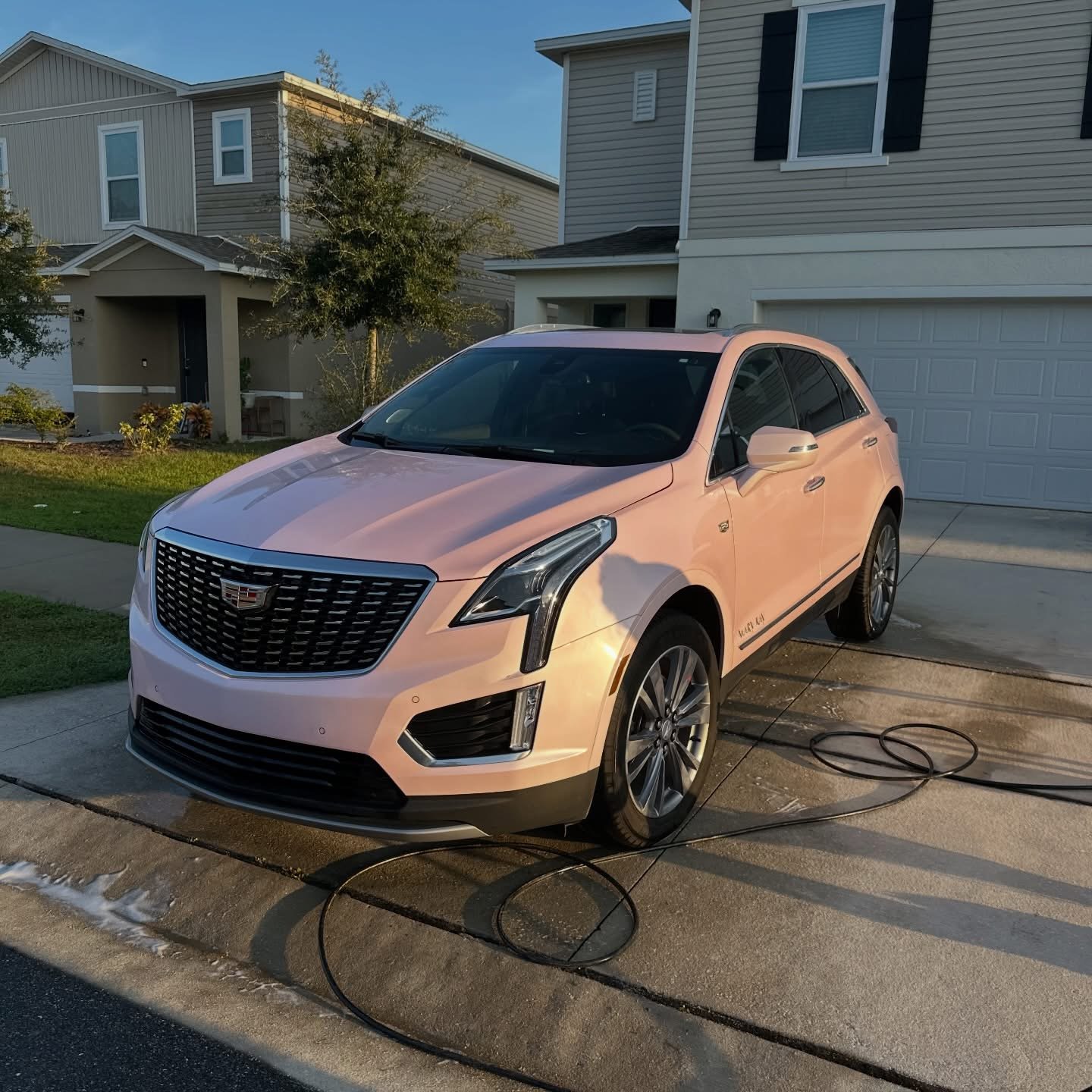 CeezDunRight car detailing