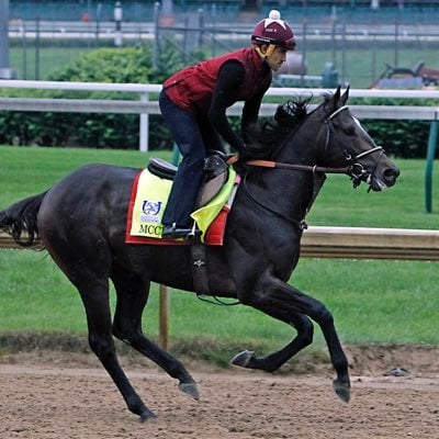 11:11 Racing horses in training