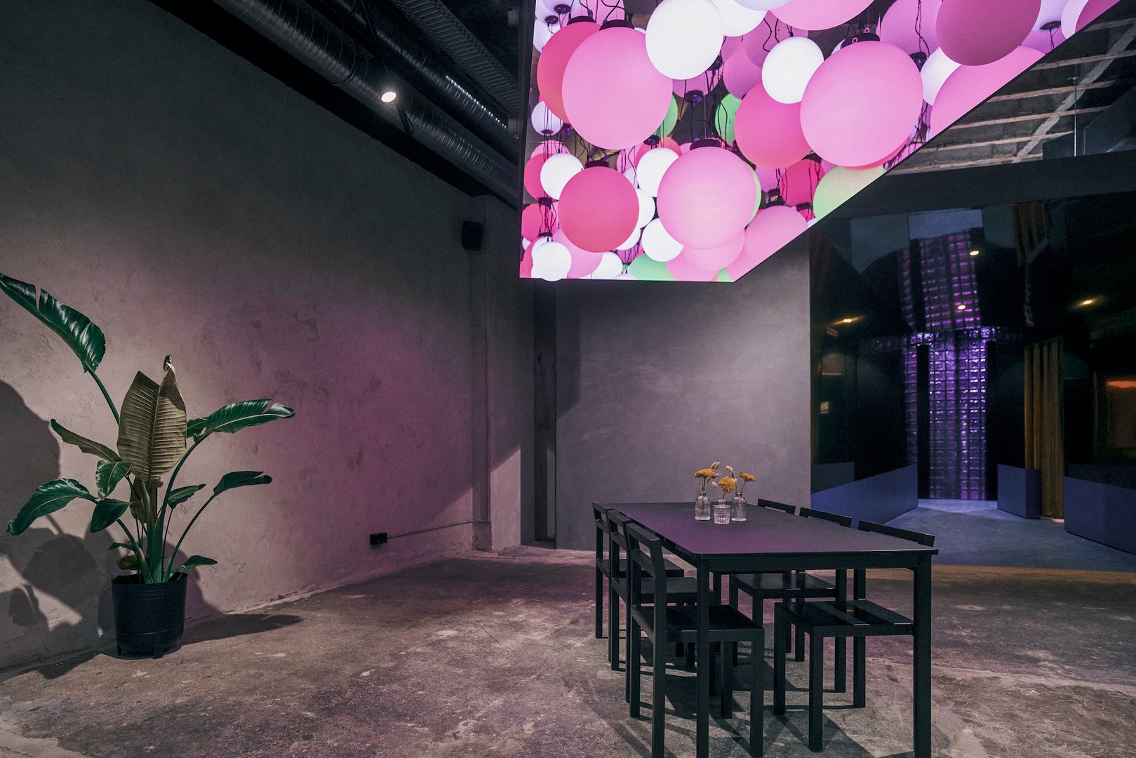 fancyrosi studio Details