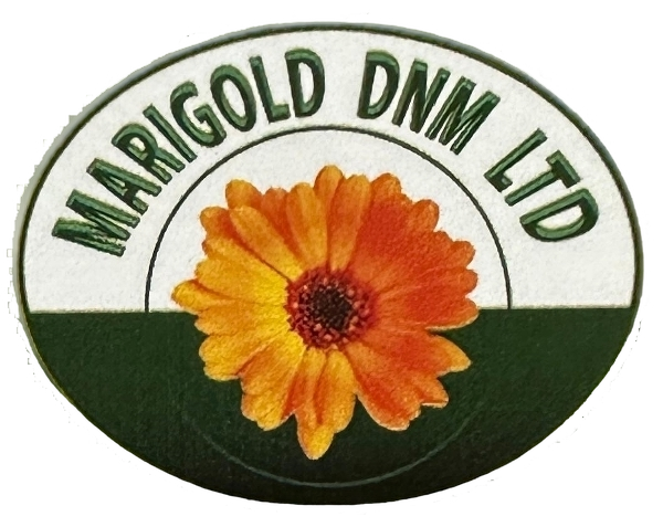 Marigold DNM Ltd