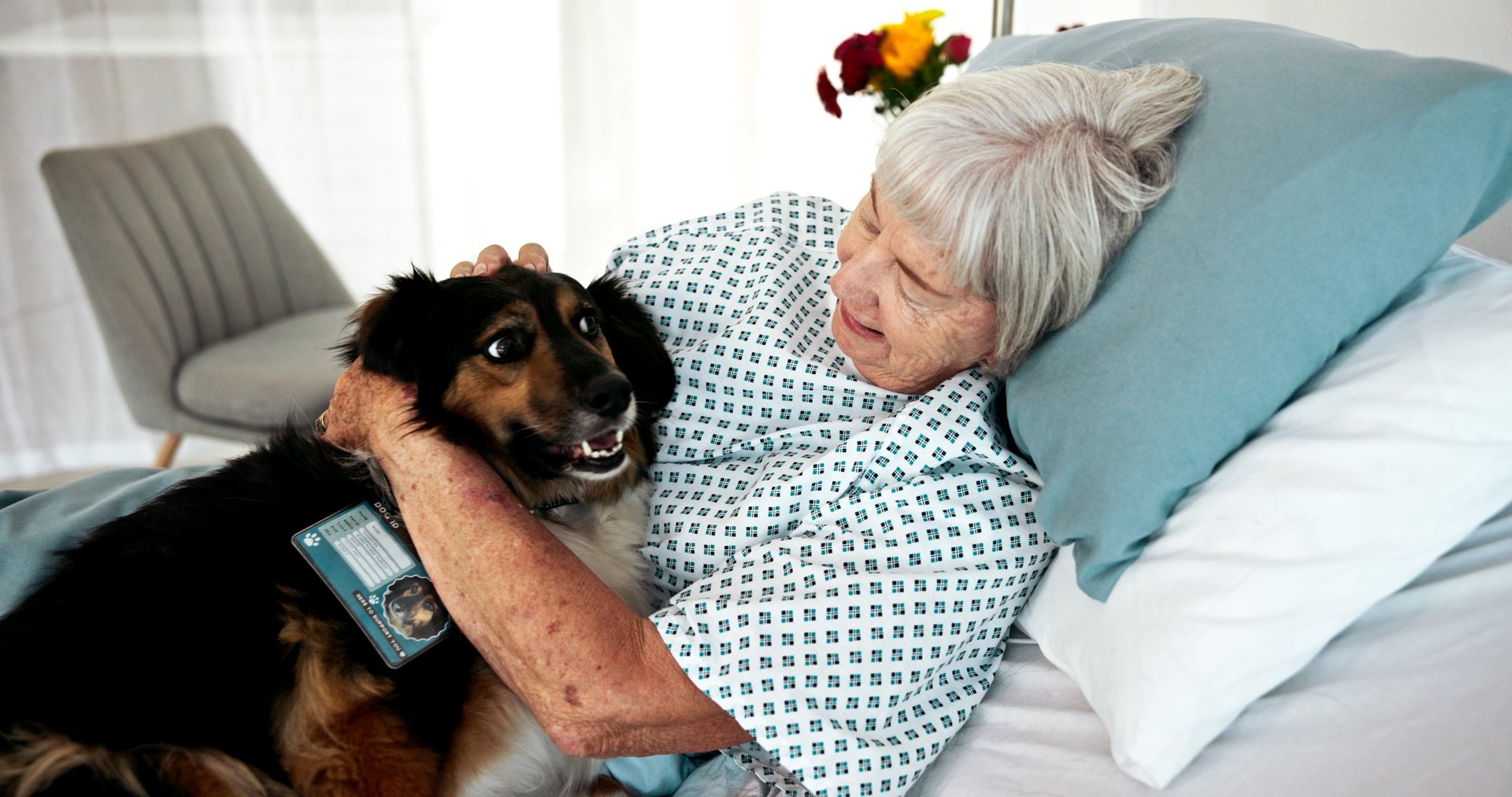 Senior, happy woman and hug with service dog on hospital bed for healthcare aid, assistance or loyalty. Female person, pet caregiver or assistant with client for elderly care, love or clinic support