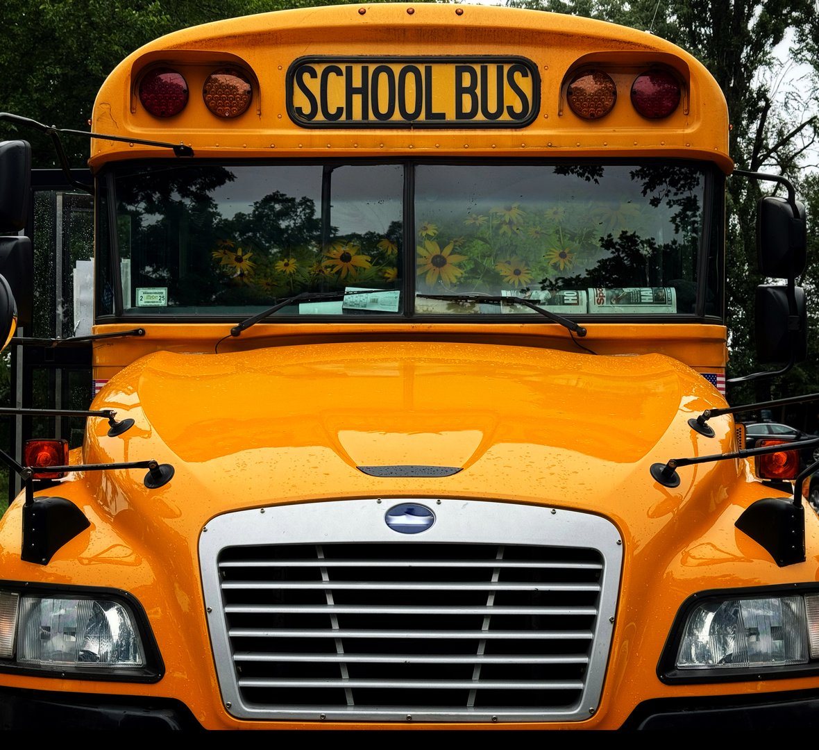 Front view of a yellow school bus with reflections of yellow flowers in the windshield