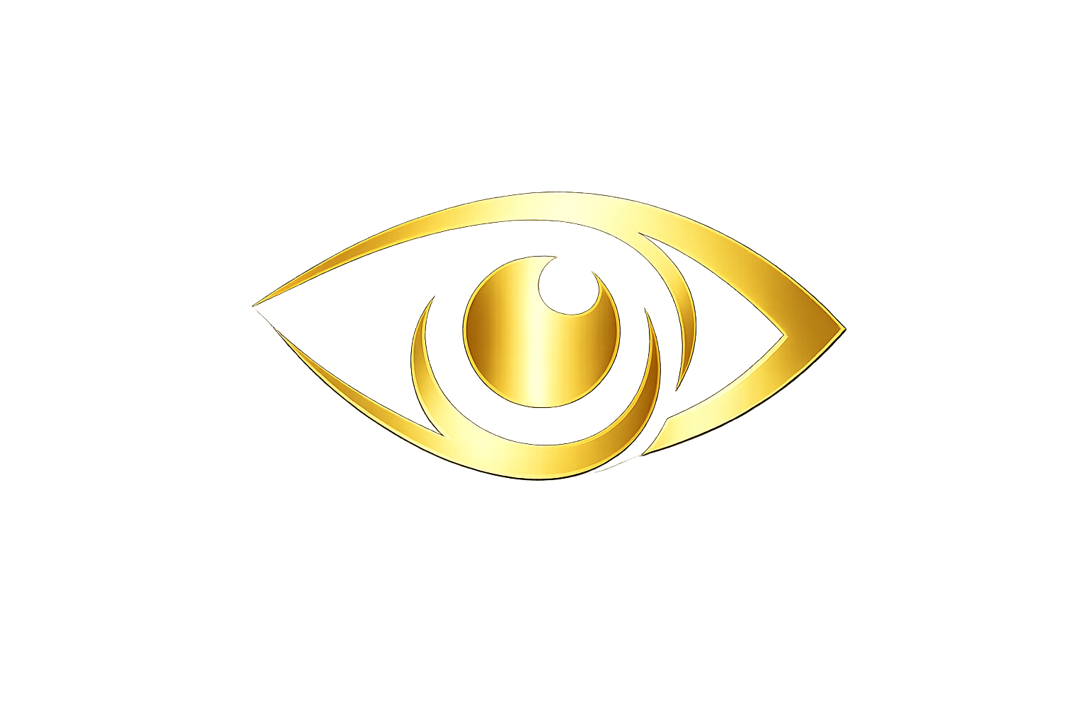 Vision Financial Logo