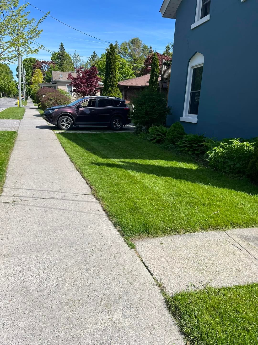 Professional landscaping project