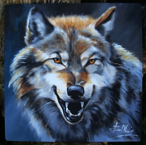 Wilk 13