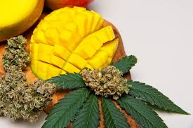 Terpene Image