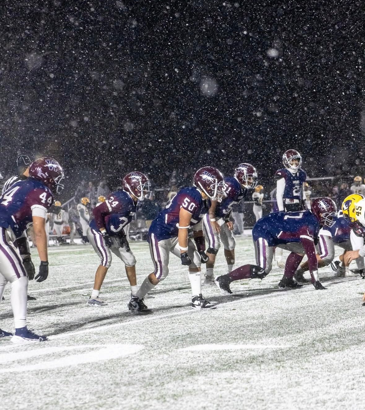 Windham Whippets Background