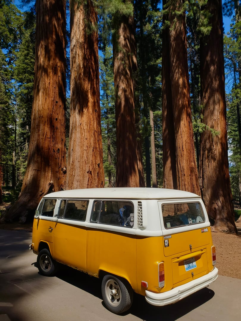 Lindsay's adventure vehicle