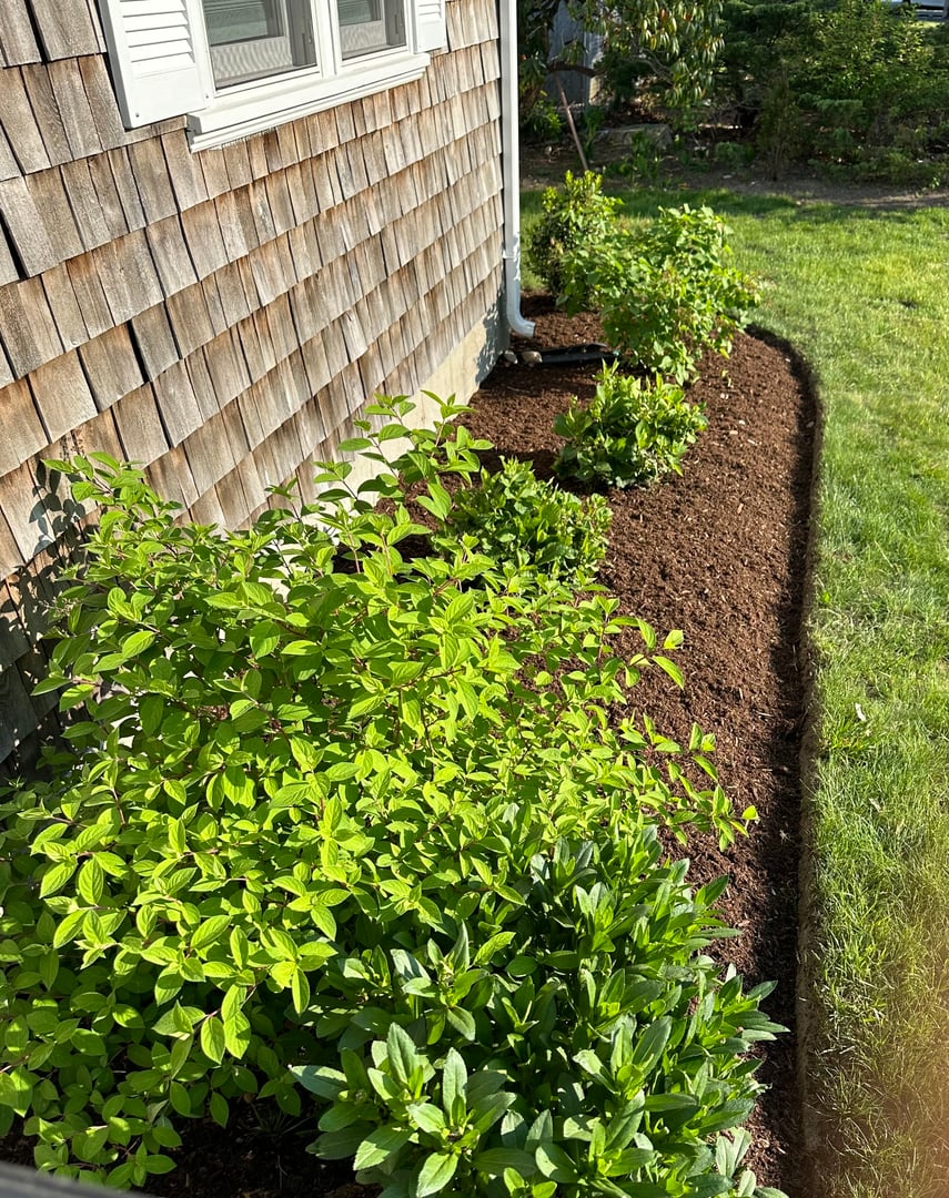 Garden bed definition and edging work