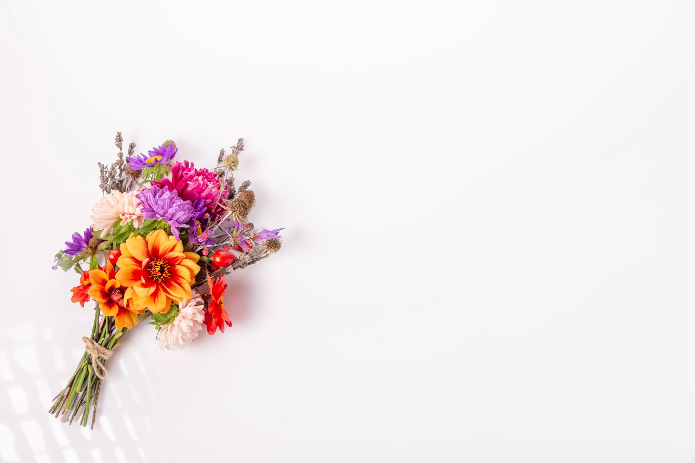 Small autumn bouquet, pink and purple asters, orange dahlias, rose hips on a white background.