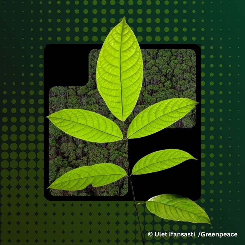 Lead Nurture Journey illustration