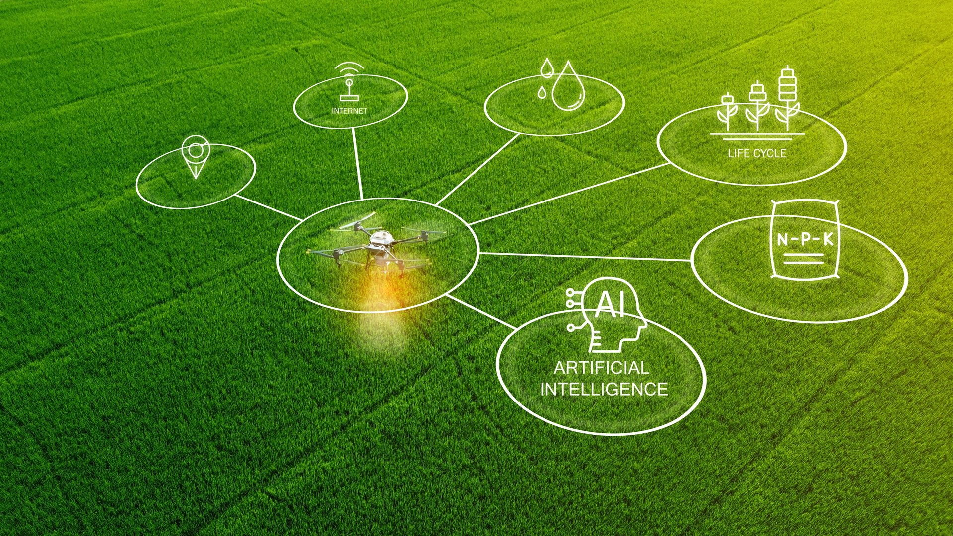Agriculture drone fly to sprayed fertilizer on the fields,  Smart farm 4.0 concept, artificial intelligence combine deep, machine learning, digital twin, 5G, industry 4.0 technology to improve