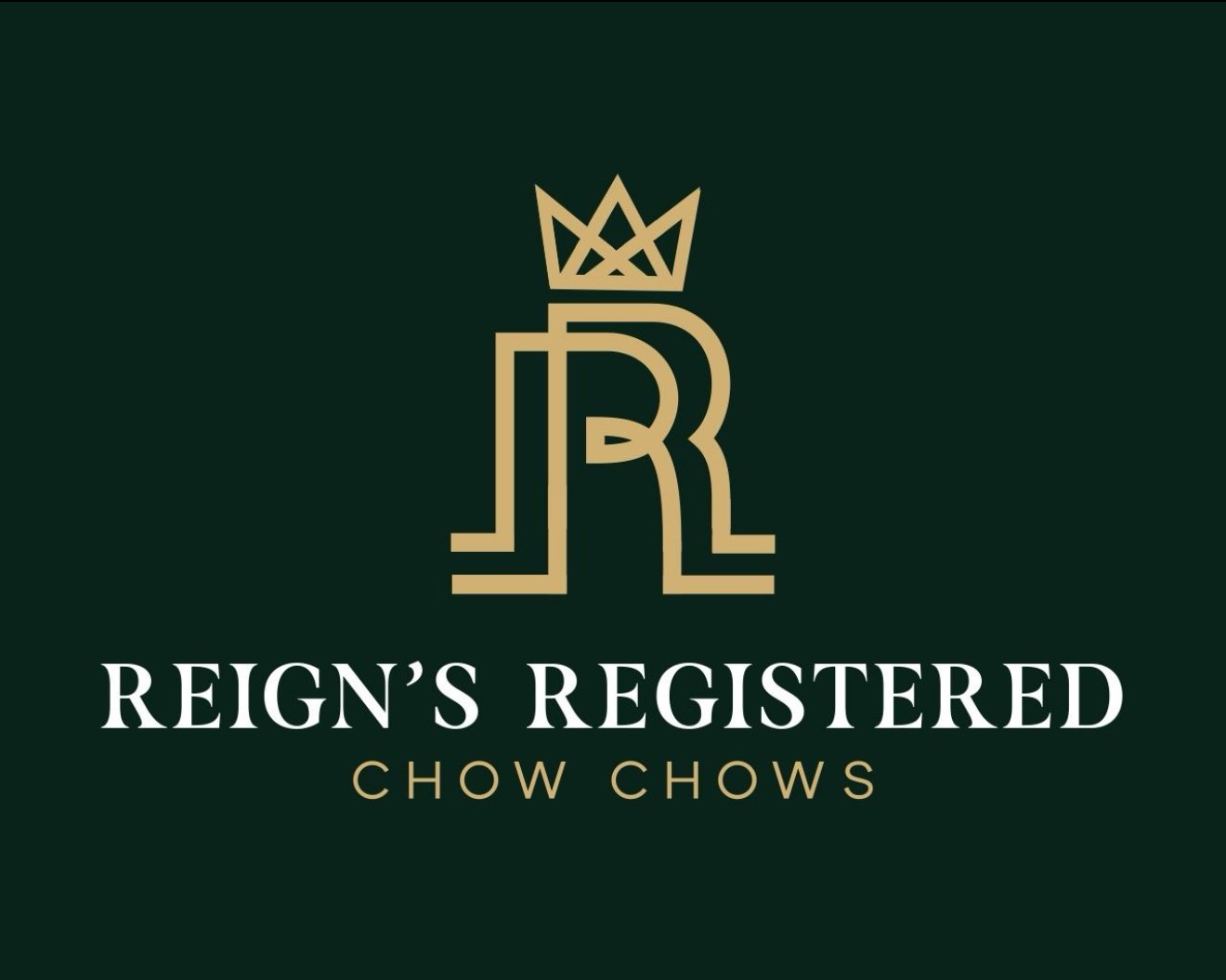 Reign's Chow Chow