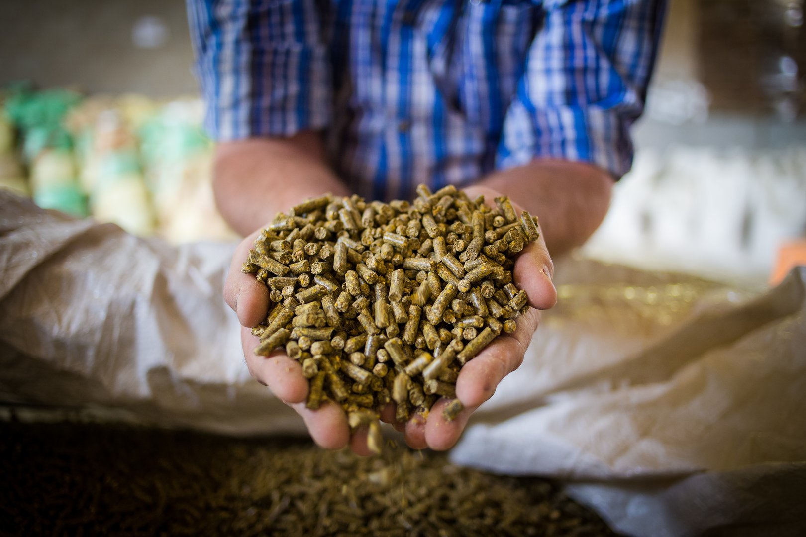 Close up image of hands holding animal feed