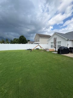 Panda Hammer LLC Project