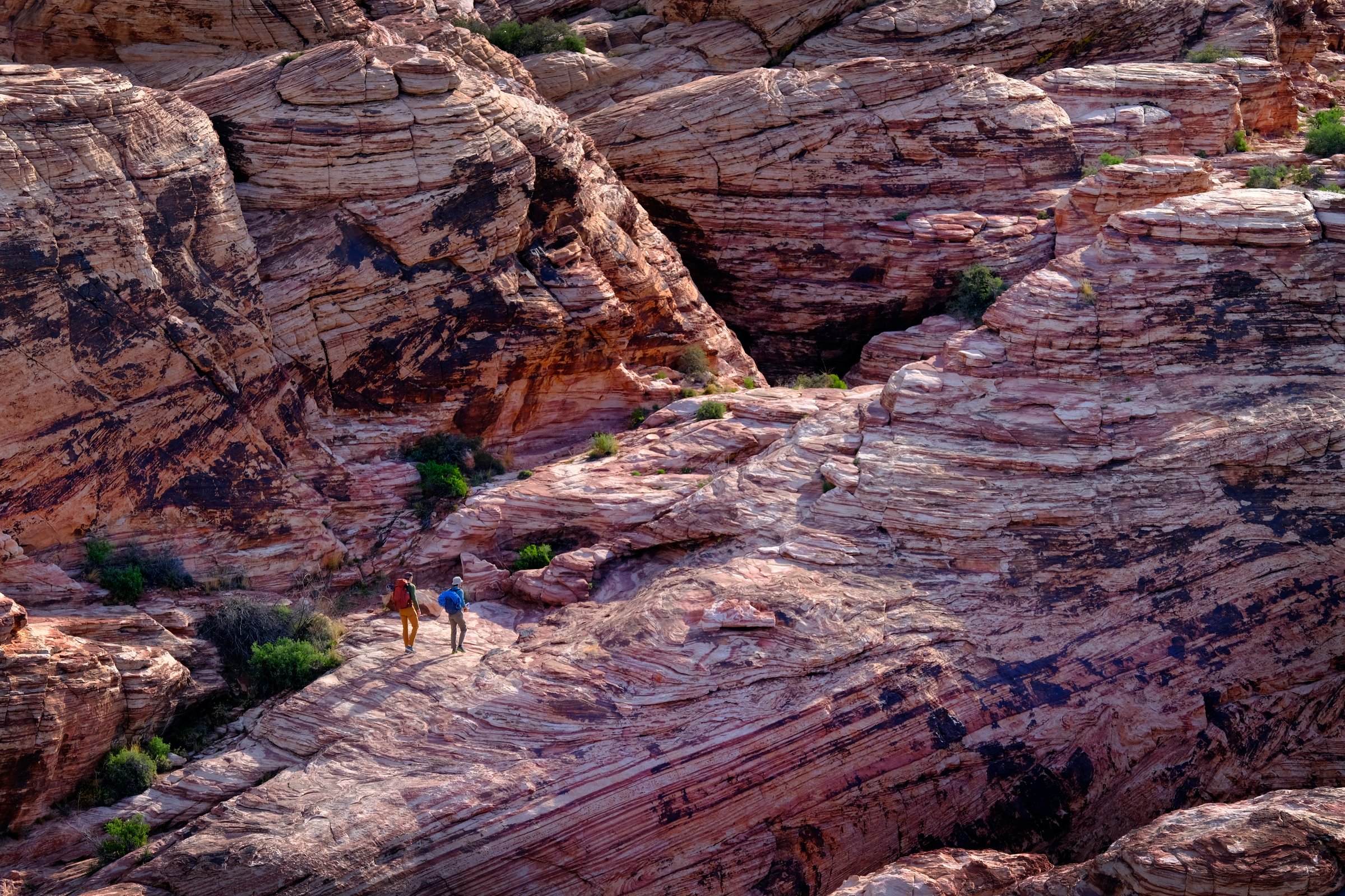 Several people hiking and climbing in the red rock area of Las Vegas Nevada