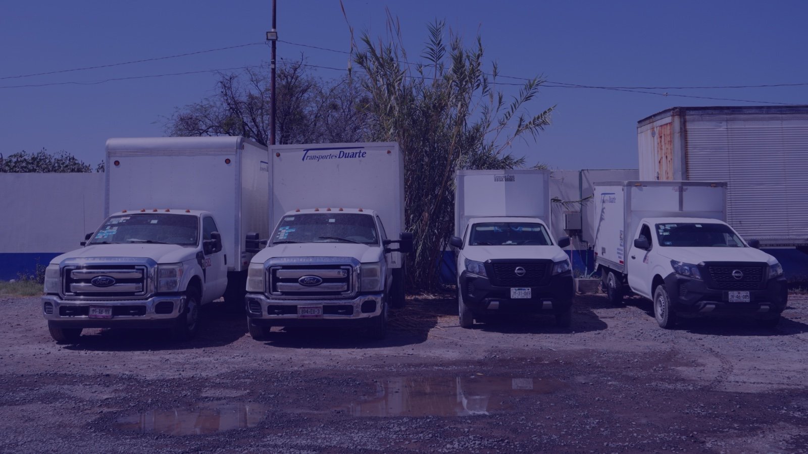 Four parked trucks on a gravel lot, each facing forward, with a bush and building in the background.