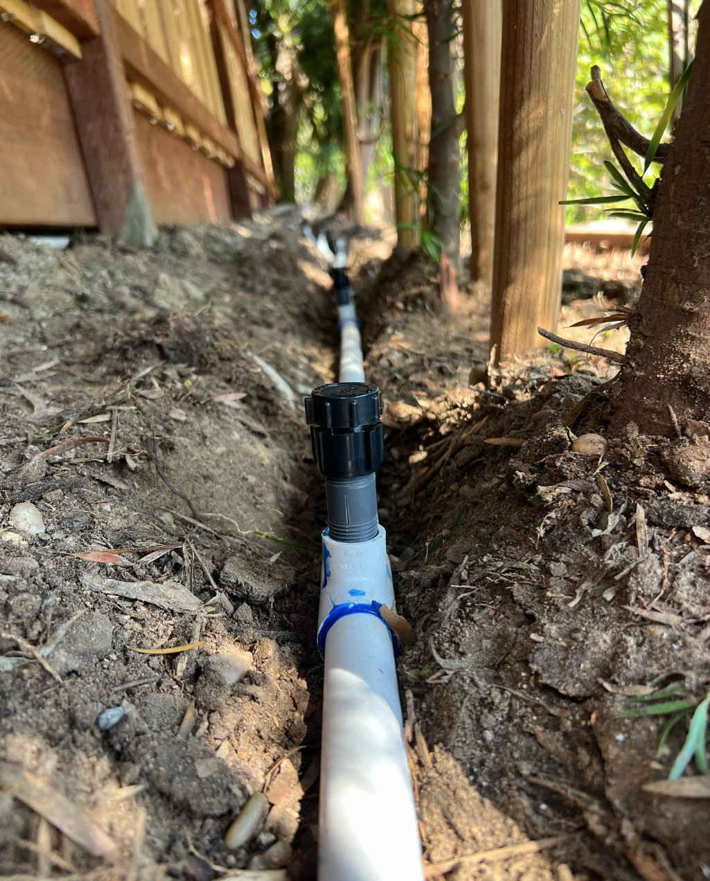 Southern Landscapes work