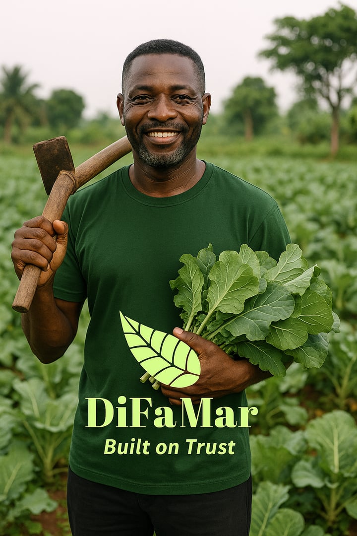 DiFaMar Impact Nigeria