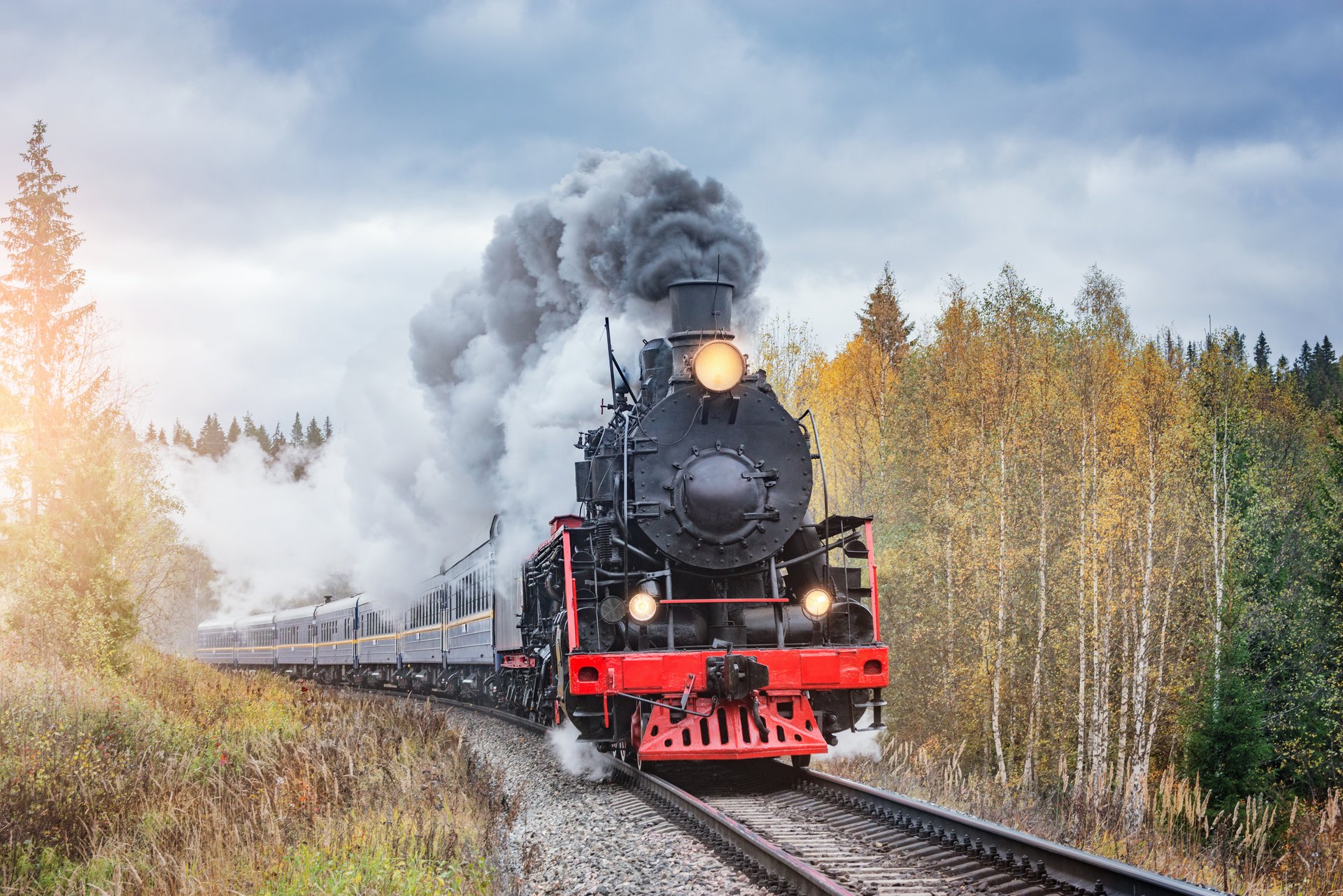 Steam retro train moves in the autumn forest.