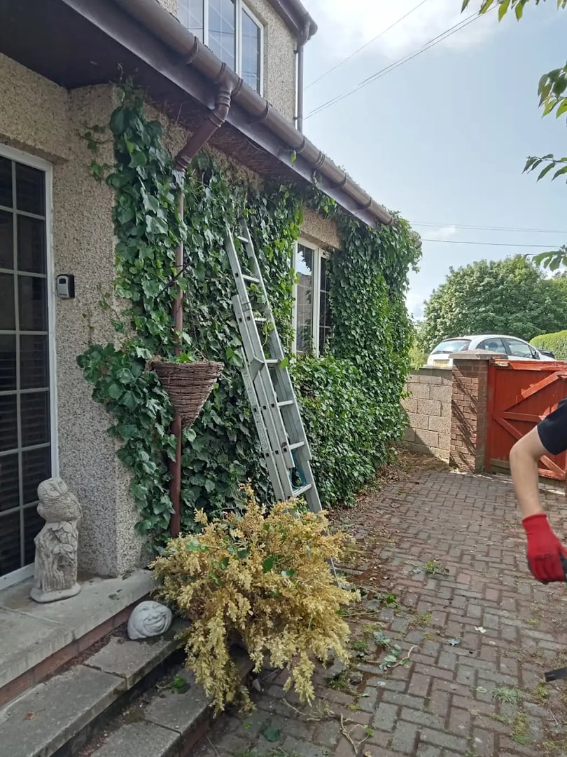 Before maintenance - Project 2