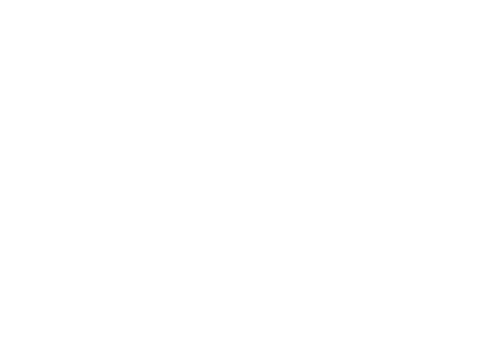 Condado del Valle Logo