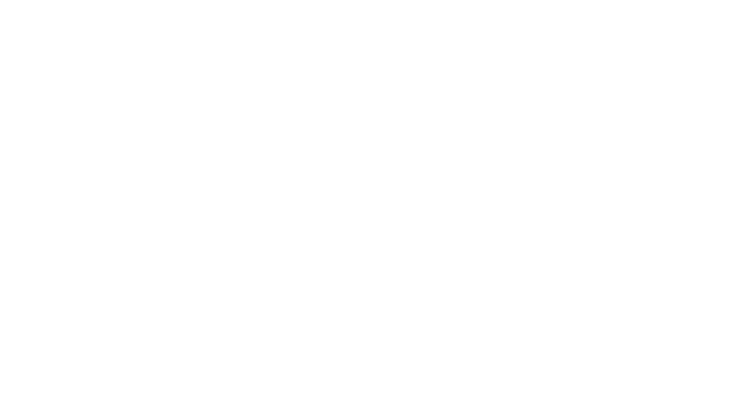 Rise India Logo