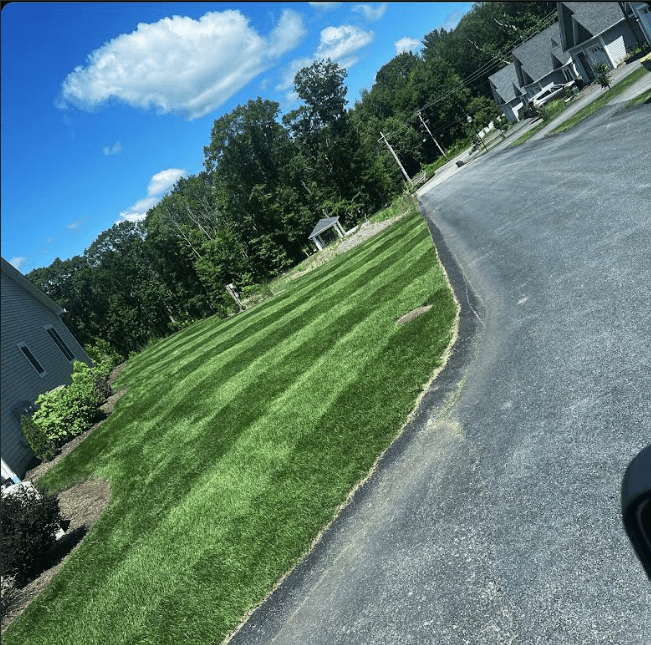 Professional landscaping work
