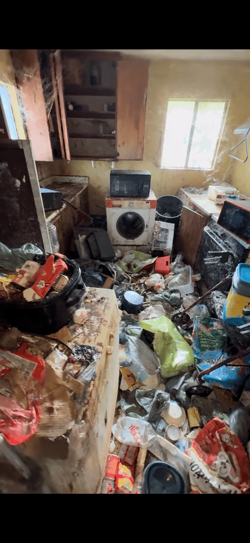 Clear Space Junk Solutions completed project