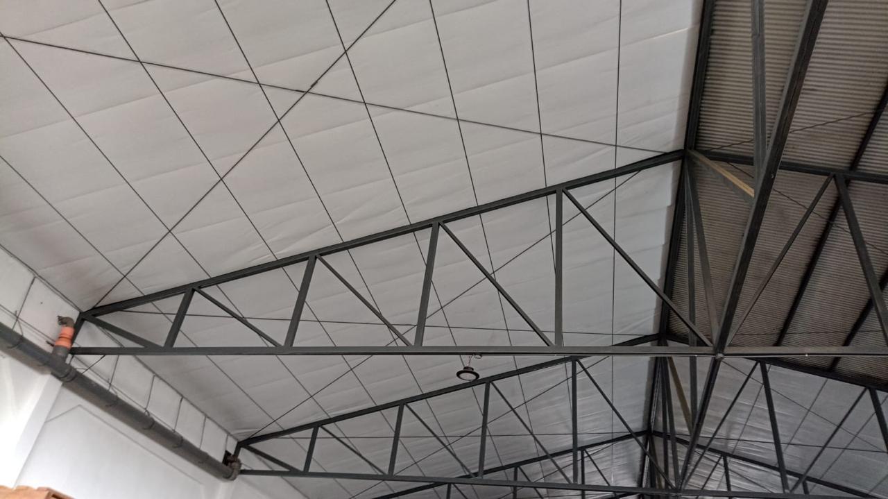 Thermoflex BPA - Rollo ecológico