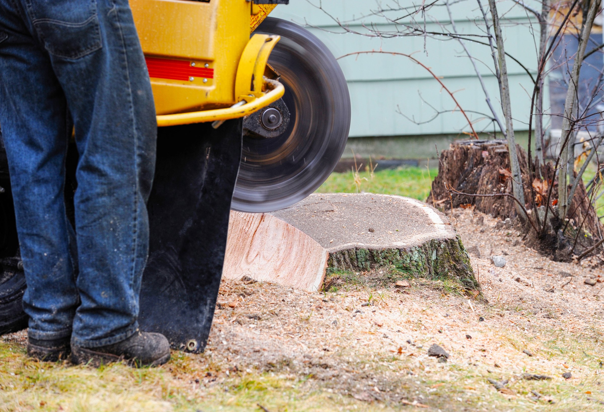 close up on worker doing stump grinding