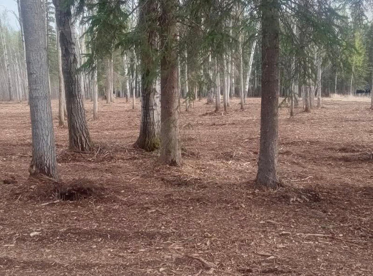 Cardinal Contracting site work northern Alberta