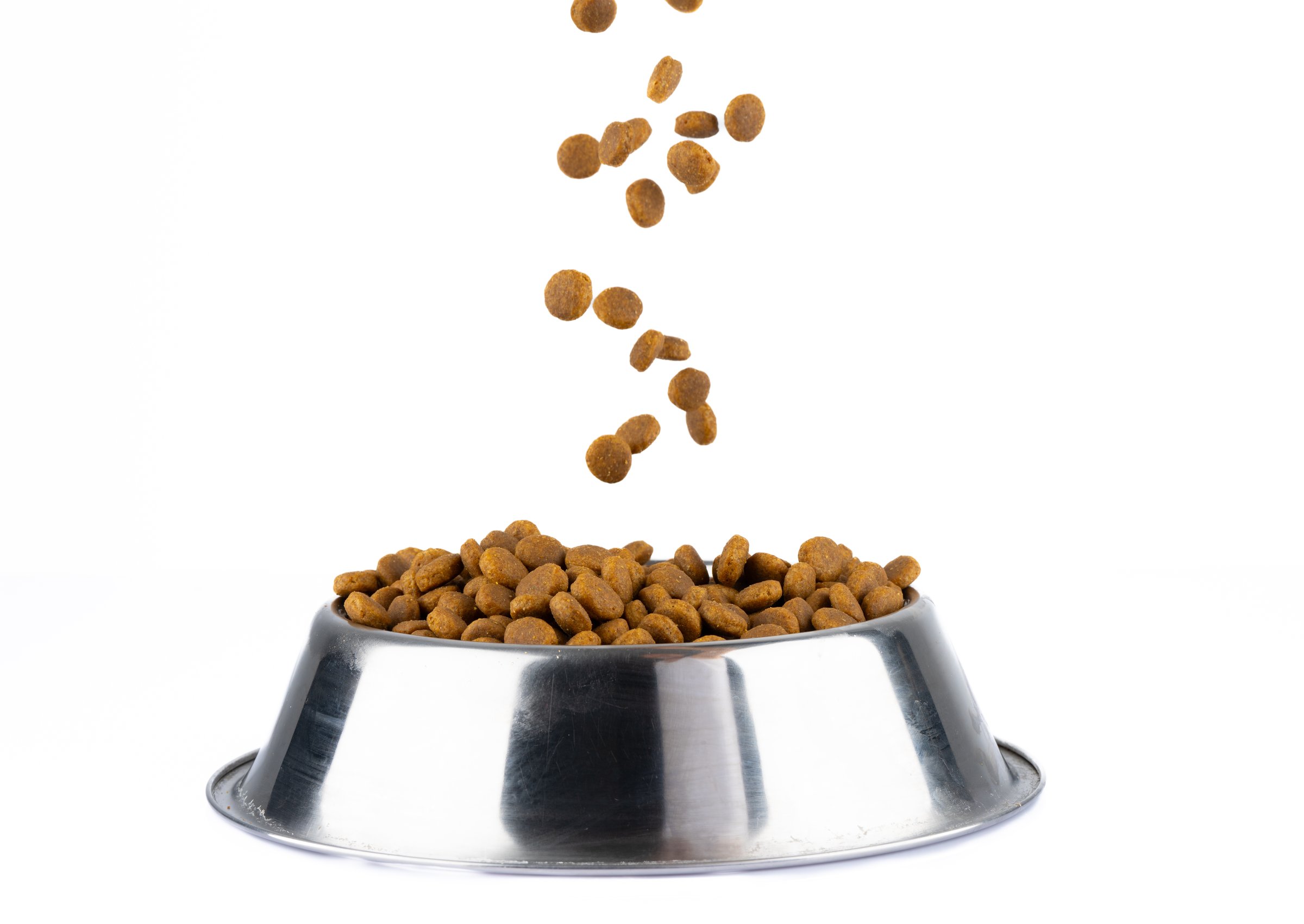 Healthy dog ​​food containing protein, fat and carbohydrates