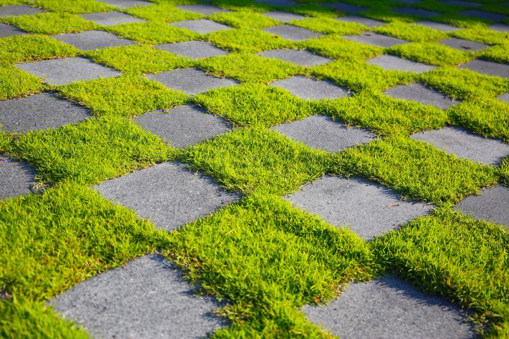 Patterned grass and concrete walkway forming a checkerboard design in outdoor sunlight.