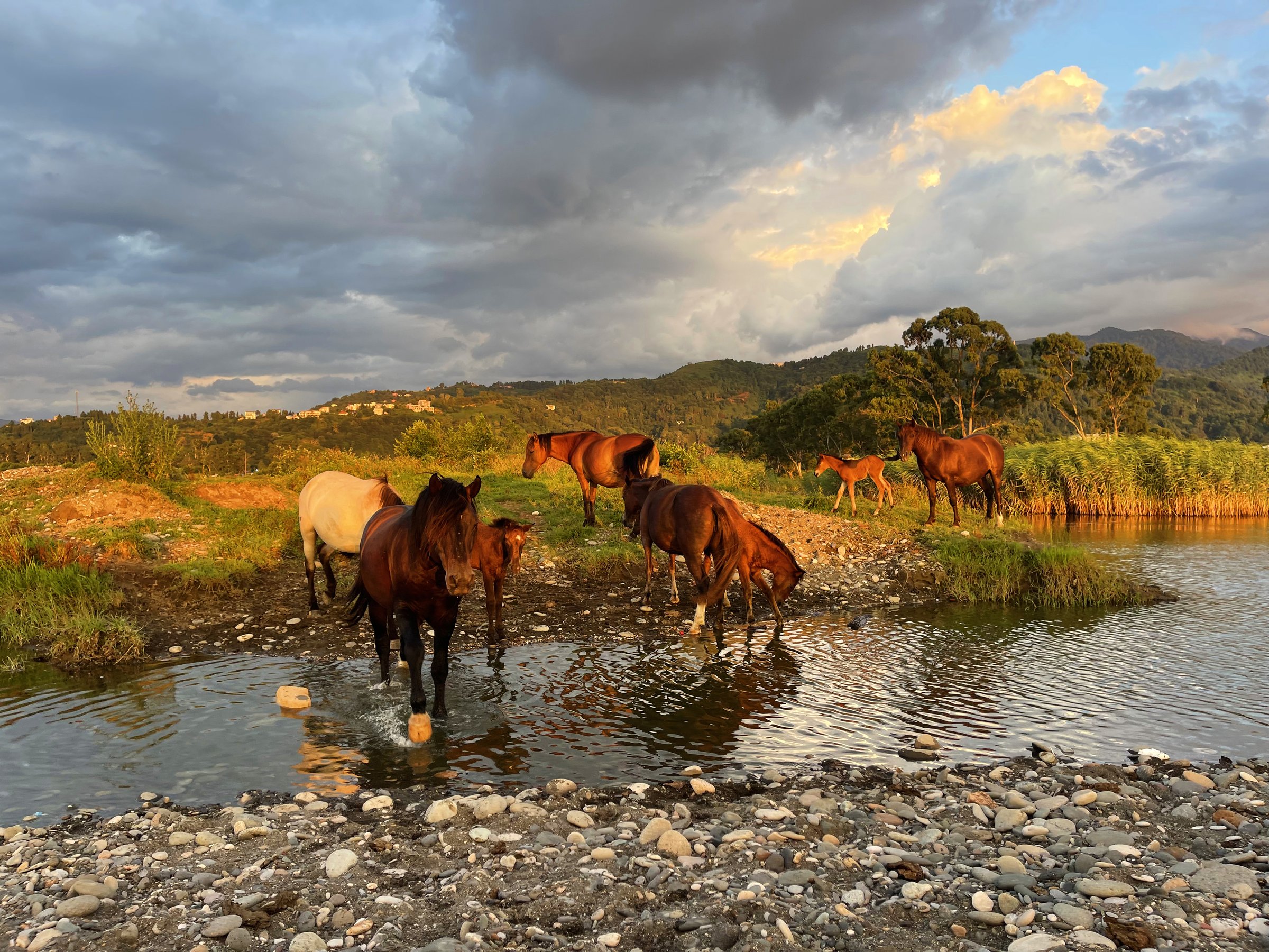 Rider on horseback with mountain backdrop